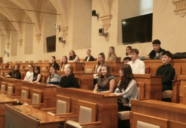 Je Senát opravdu zbytečný?