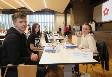 Stříbro v krajském kole Dějepisné soutěže gymnázií!